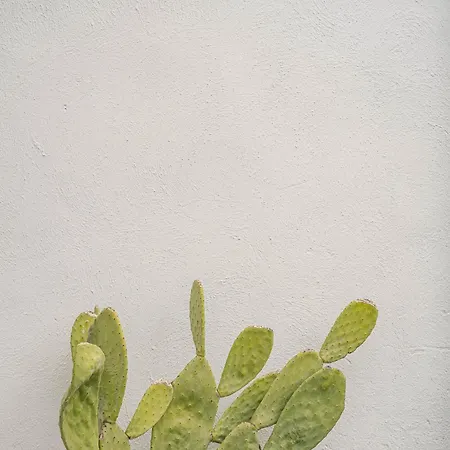 Casetta Carmelina 펜션 *