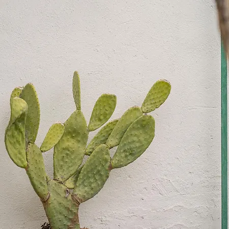 펜션 Casetta Carmelina